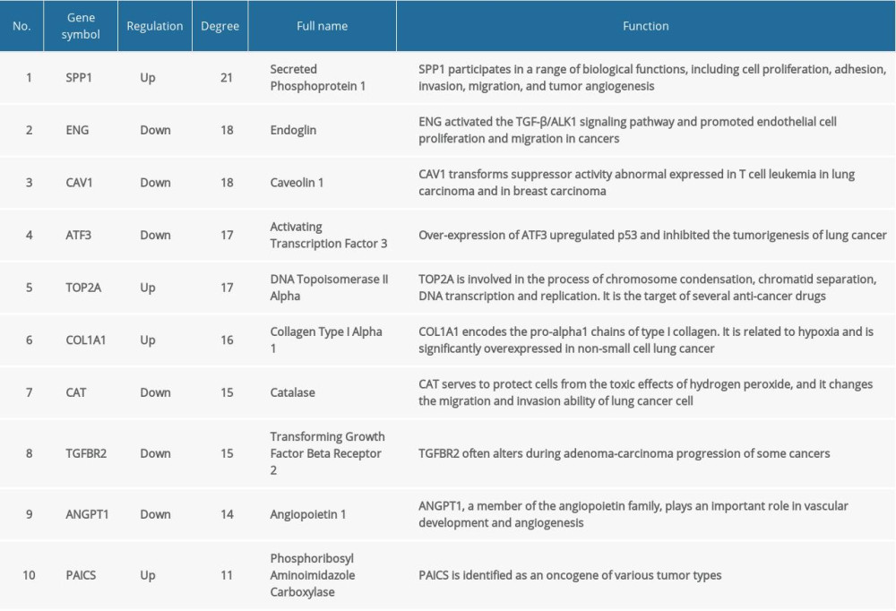 Functional roles of 10 hub genes with prognostic significance.