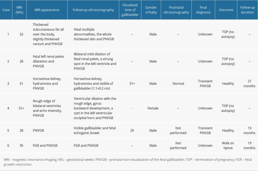 Characteristics of 6 cases of additional fetal malformations.