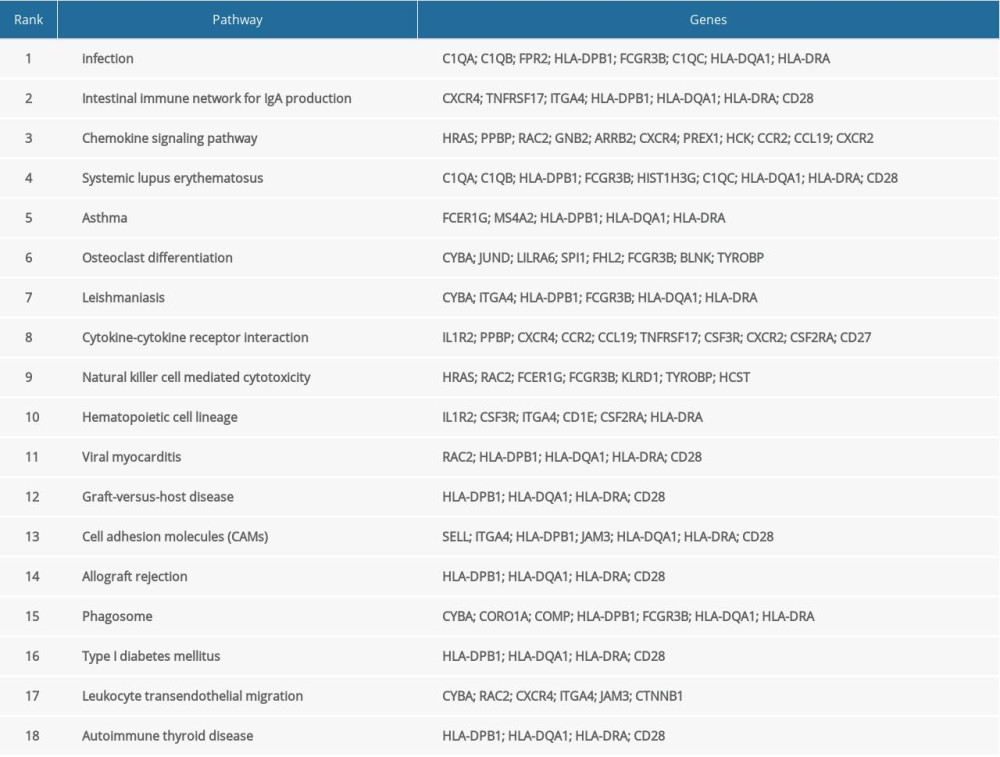 Significantly enriched pathways in AF.