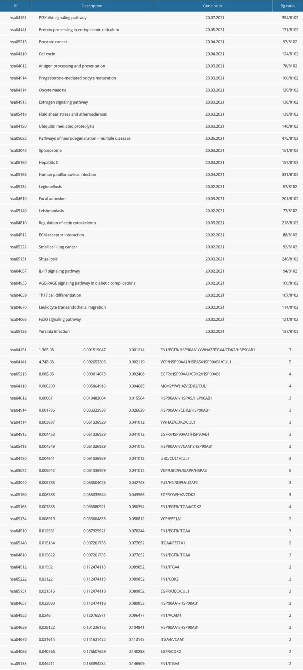 The result of GO and KEGG enrichment analysis.