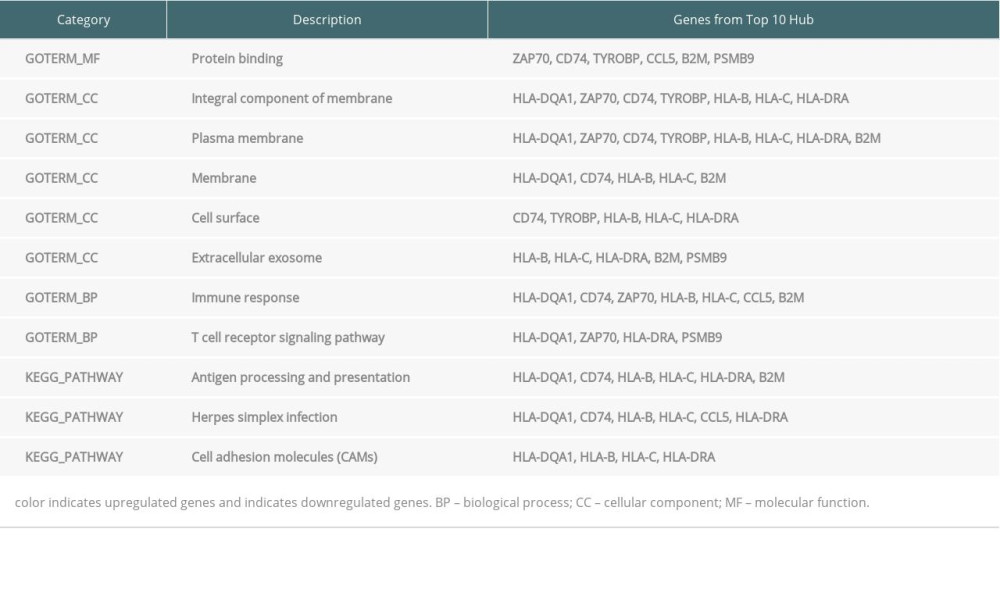 Top 10 hub genes from endomyocardial biopsy samples enriched in Gene Ontology (GO) and Kyoto Encyclopedia of Genes and Genomes (KEGG).